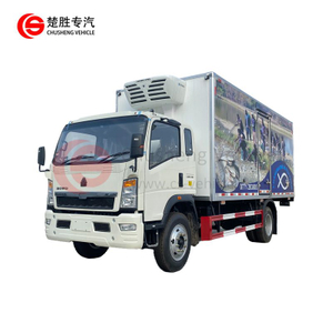 HOWO 4x2 10 tonnes Thermo King réfrigéré Van Truck aliments frais congélateur réfrigérateur Cargo camion à vendre