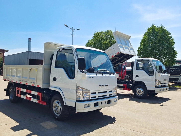 Vers Angola-2 unités de camions bennes ISUZU 100P