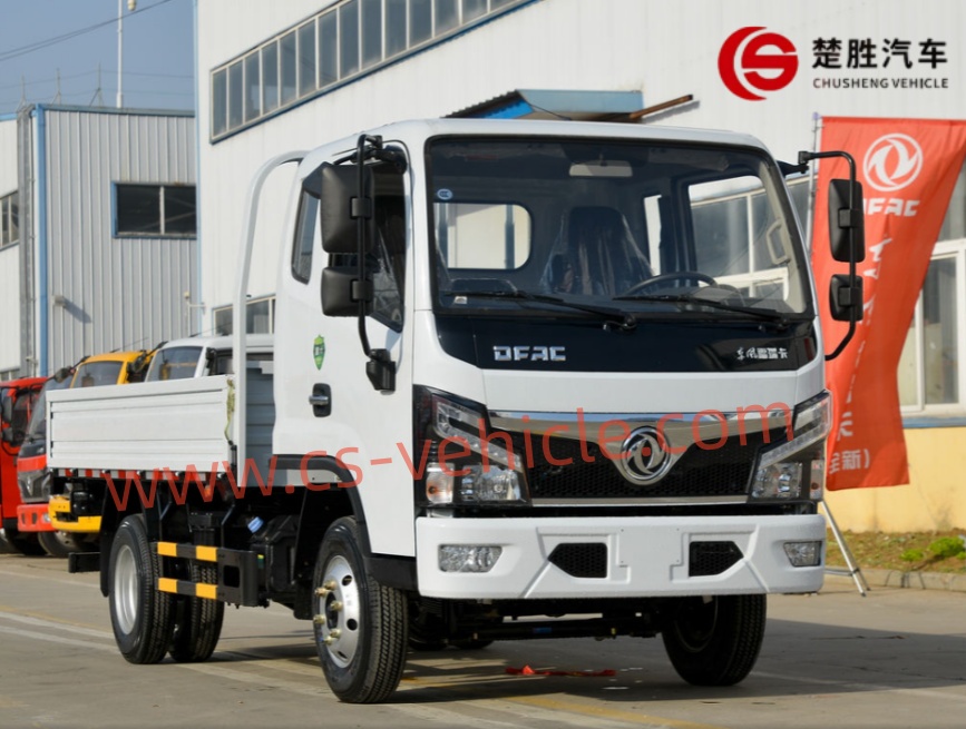 Camion &agrave; ridelle Dongfeng-6