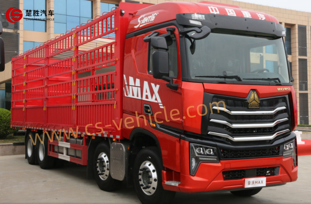Camion cargo de cl&ocirc;ture-5 